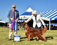 BBP_7023-01052018 Irish BOW